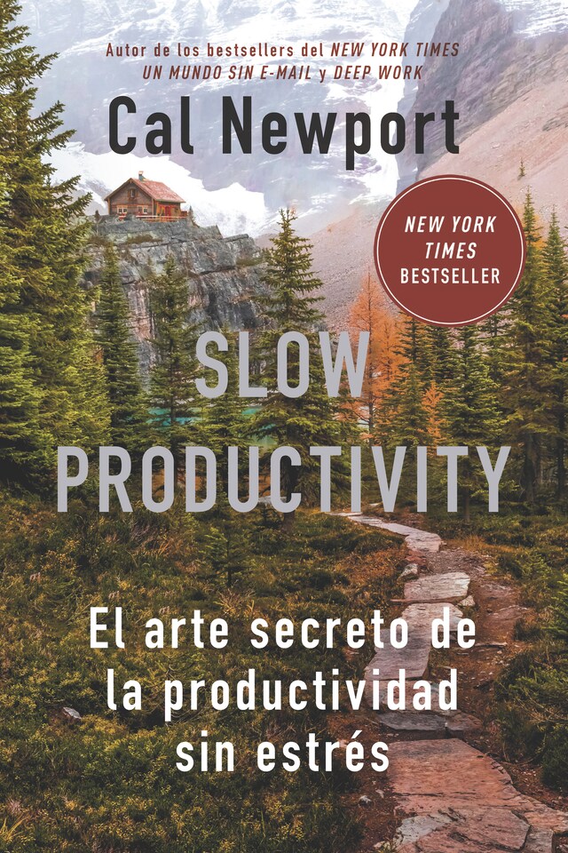 Book cover for Slow Productivity