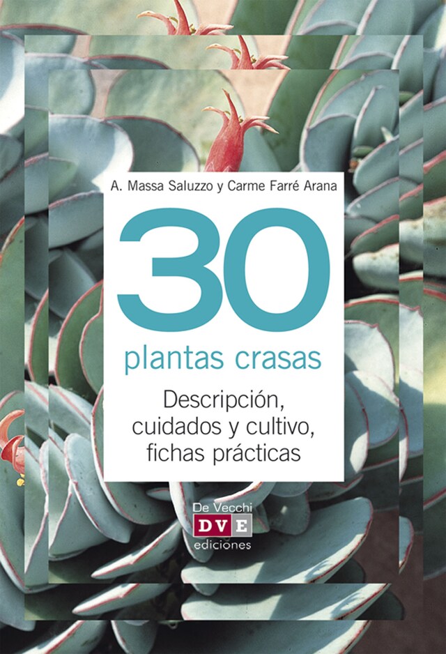 Book cover for 30 plantas crasas