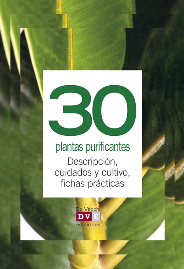 Book cover for 30 plantas purificantes