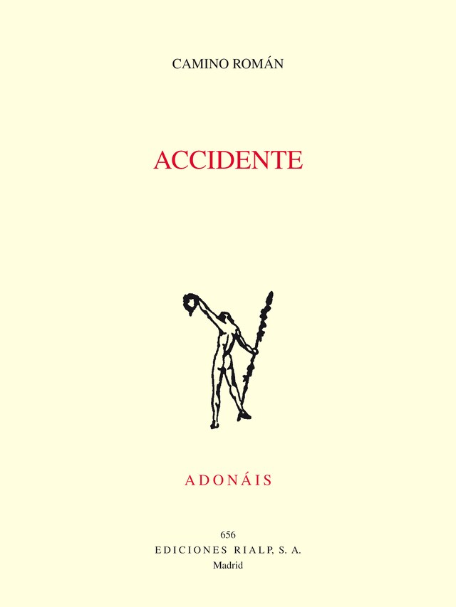 Book cover for Accidente