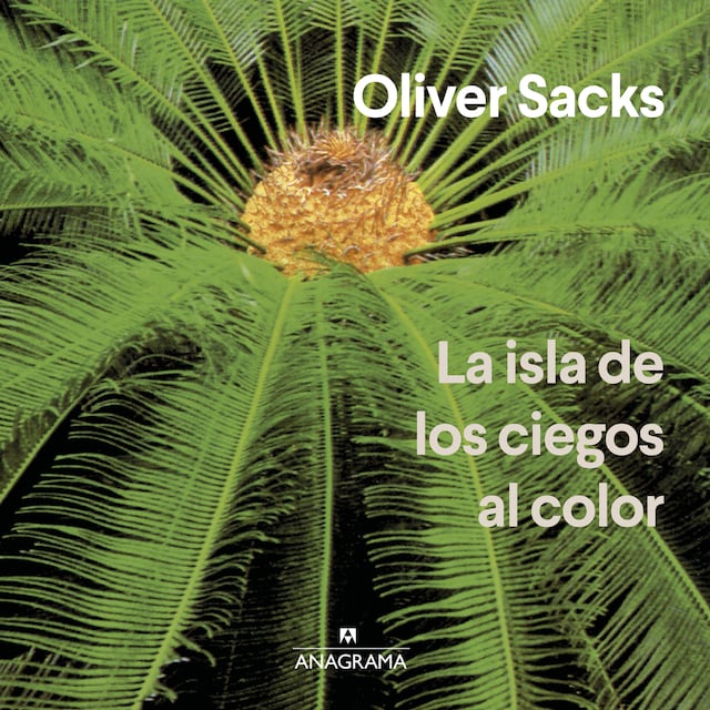 Book cover for La isla de los ciegos al color