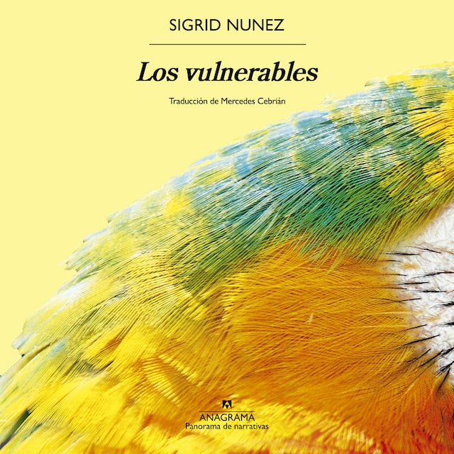 Book cover for Los vulnerables