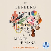 El cerebro y la mente humana