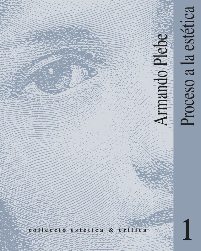 Book cover for Proceso a la estética