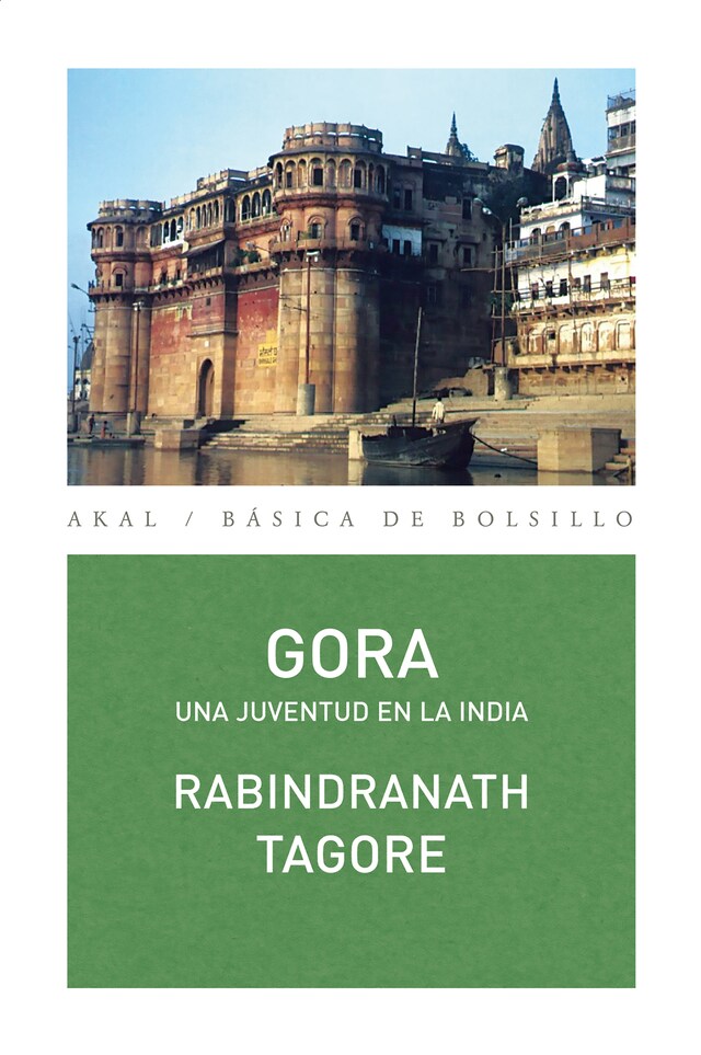 Book cover for Gora