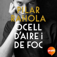 Ocell d'aire i de foc