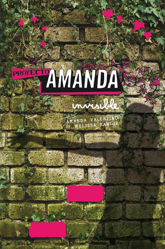 Book cover for Proyecto Amanda: Invisible