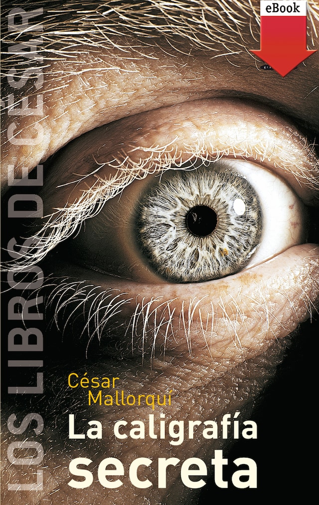 Portada de libro para La caligrafía secreta