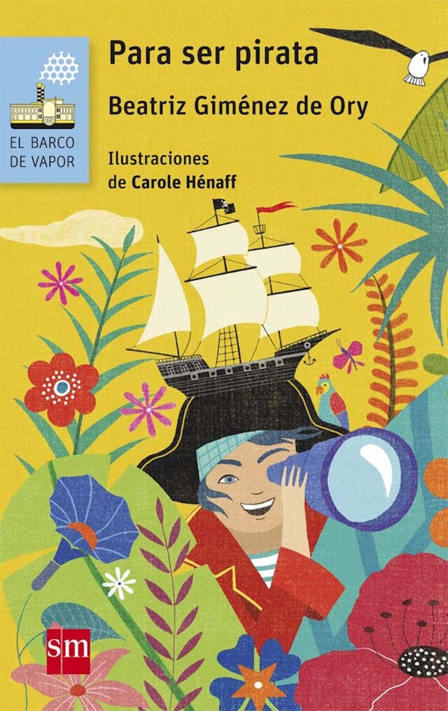 Book cover for Para ser pirata