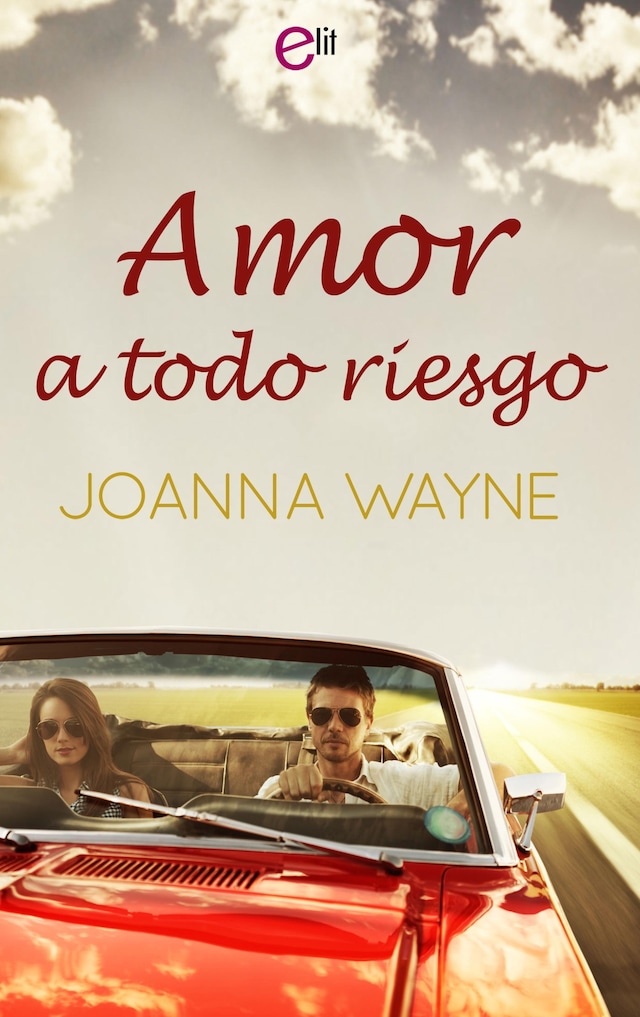 Book cover for Amor a todo riesgo