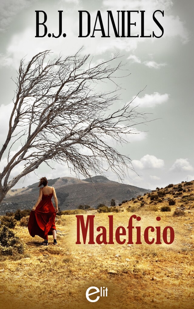 Book cover for Maleficio