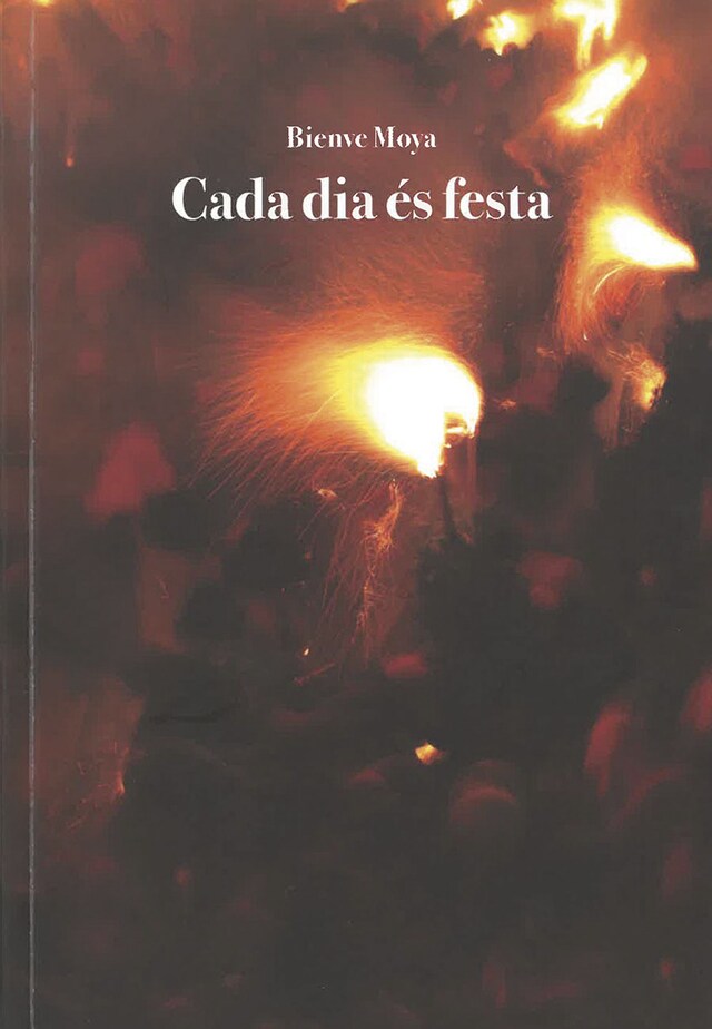 Buchcover für Cada dia és festa