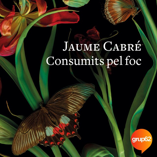 Copertina del libro per Consumits pel foc