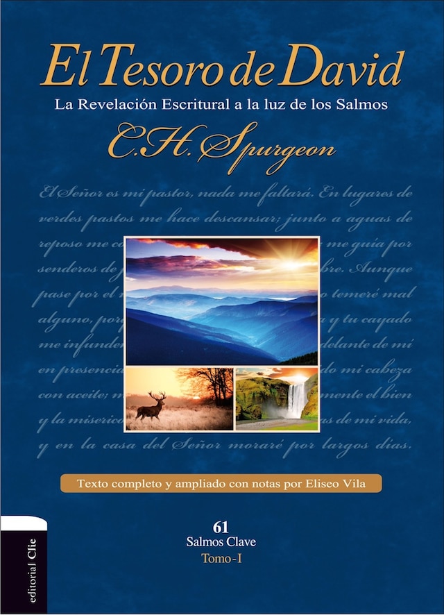 Book cover for El Tesoro de David: la revelación Escritural a la luz de los Salmos