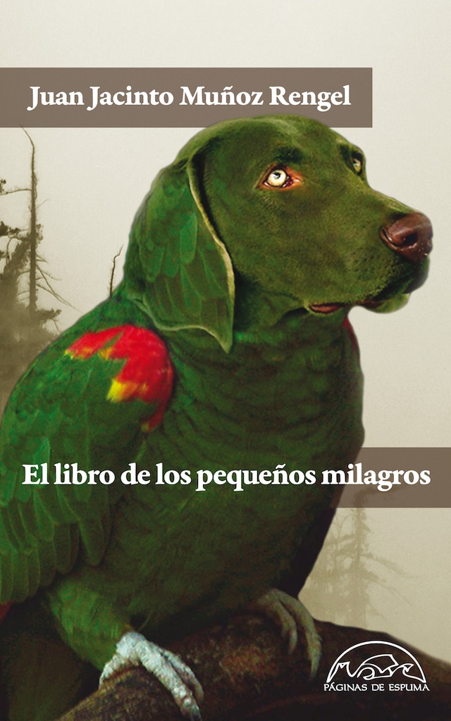 Book cover for El libro de los pequeños milagros