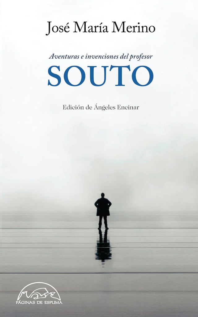 Book cover for Aventuras e invenciones del Profesor Souto