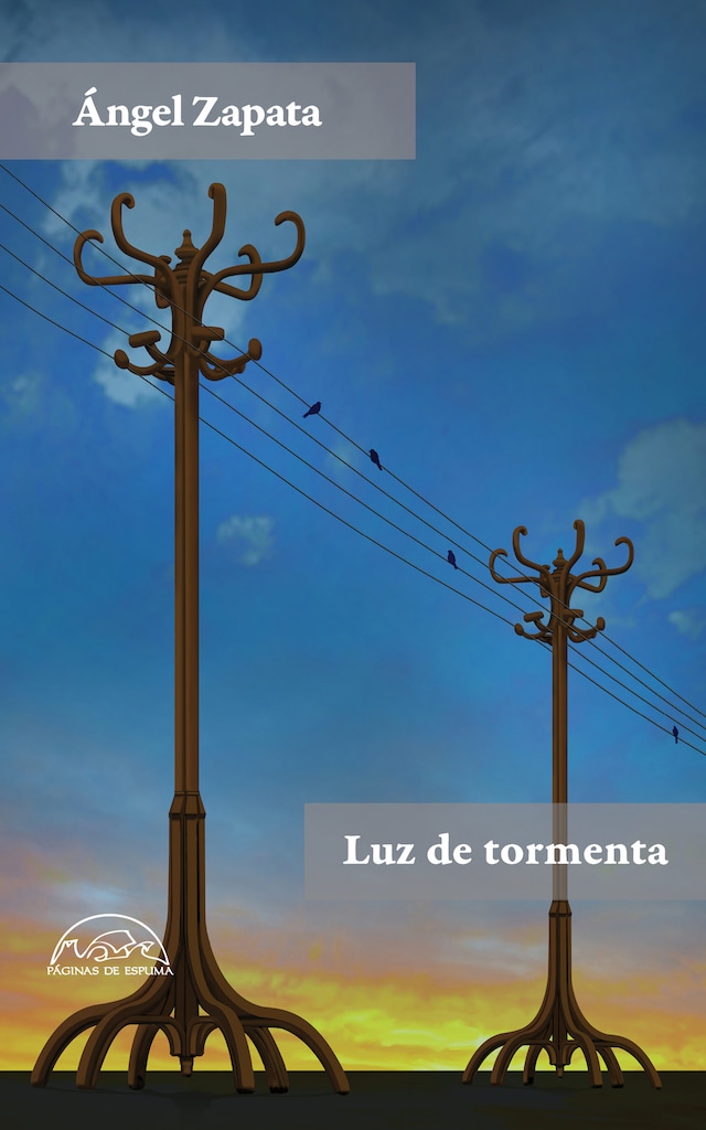 Book cover for Luz de tormenta