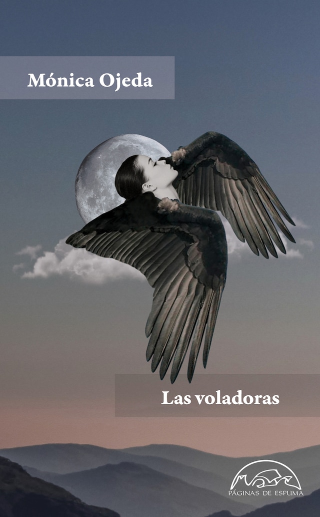 Buchcover für Las voladoras