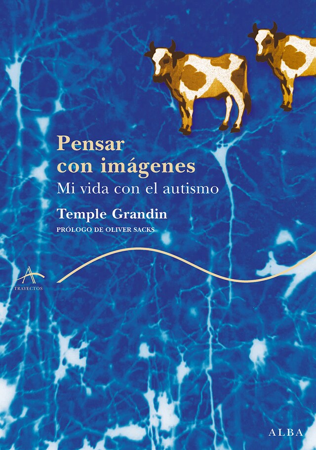 Book cover for Pensar con imágenes