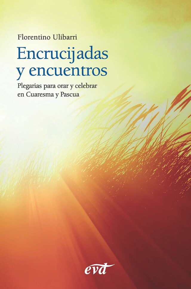 Couverture de livre pour Encrucijadas y encuentros