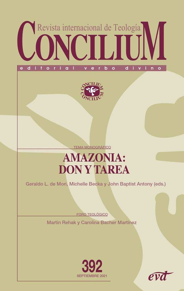 Copertina del libro per Amazonia: don y tarea