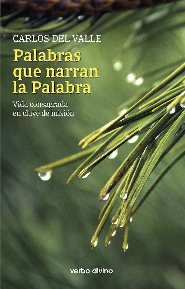 Buchcover für Palabras que narran la Palabra