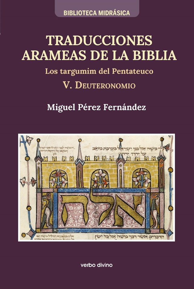 Book cover for Traducciones arameas de la Biblia - V