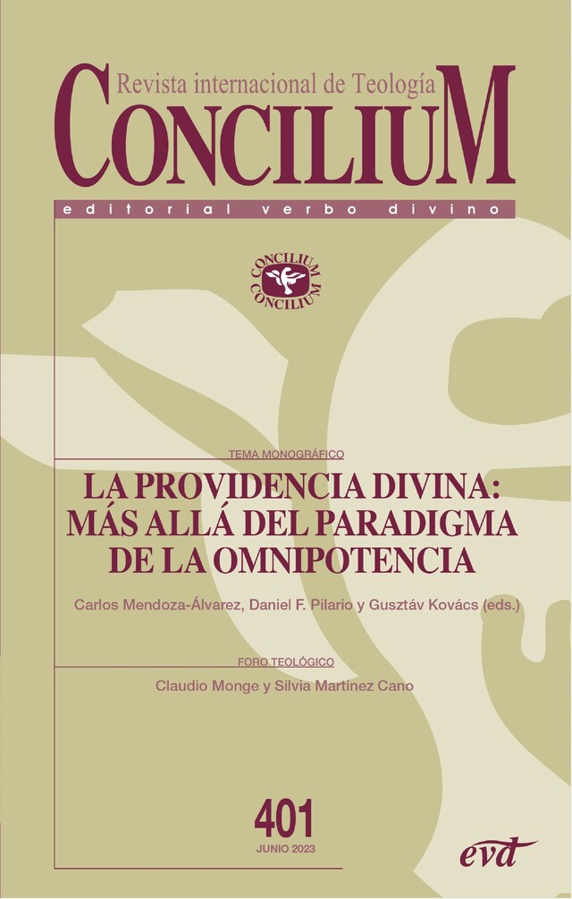 Book cover for Divina providencia: más allá del paradigma de la omnipotencia