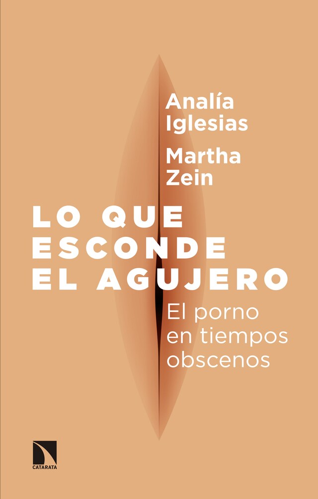 Book cover for Lo que esconde el agujero