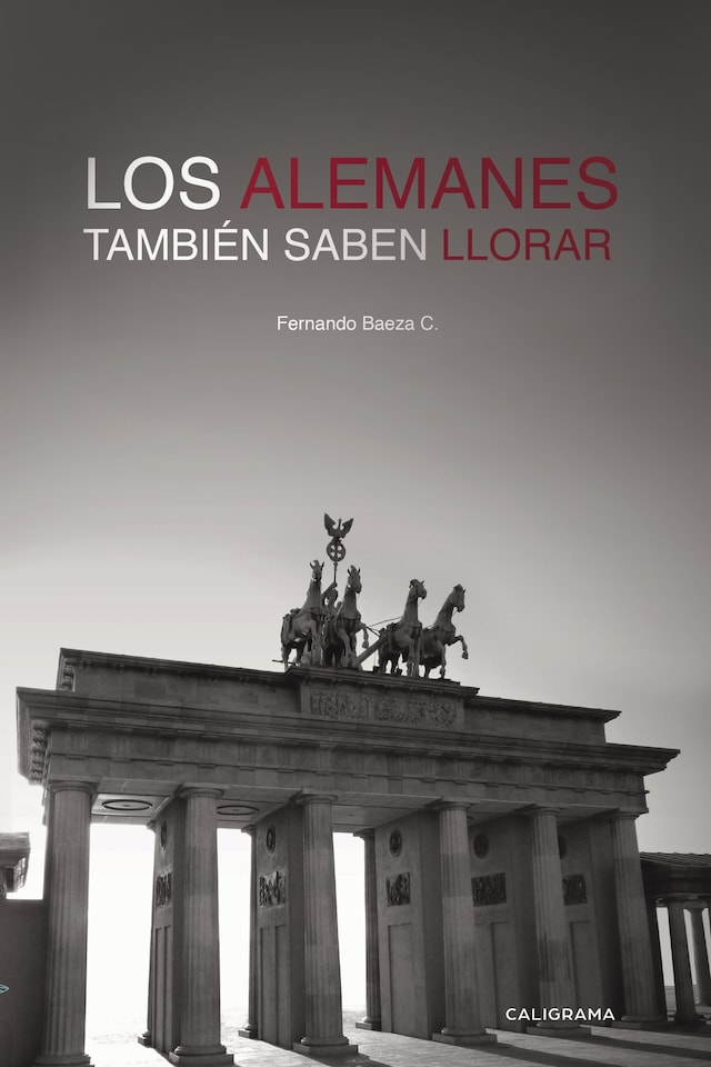 Book cover for Los alemanes también saben llorar