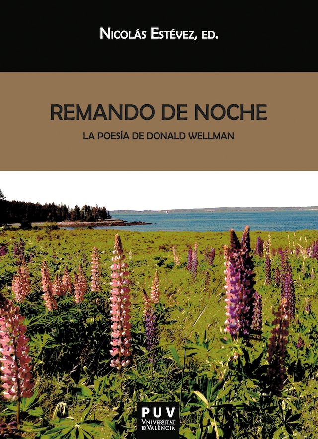 Book cover for Remando de noche
