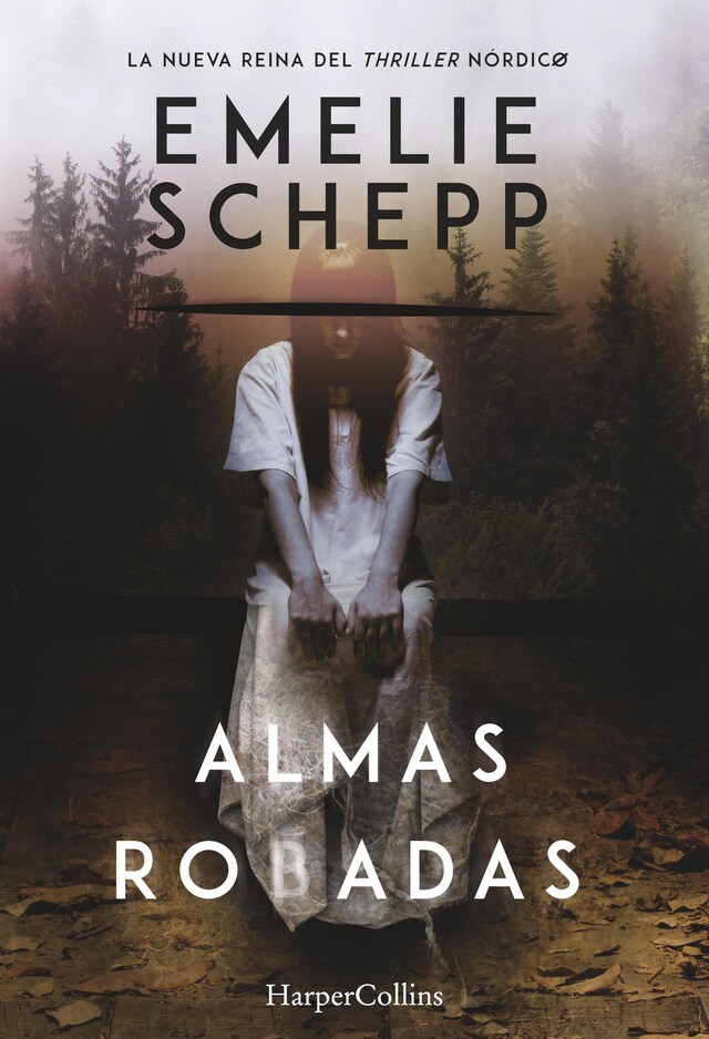 Book cover for Almas robadas