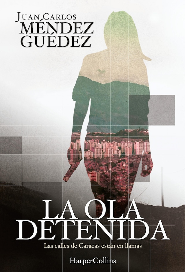 Book cover for La ola detenida