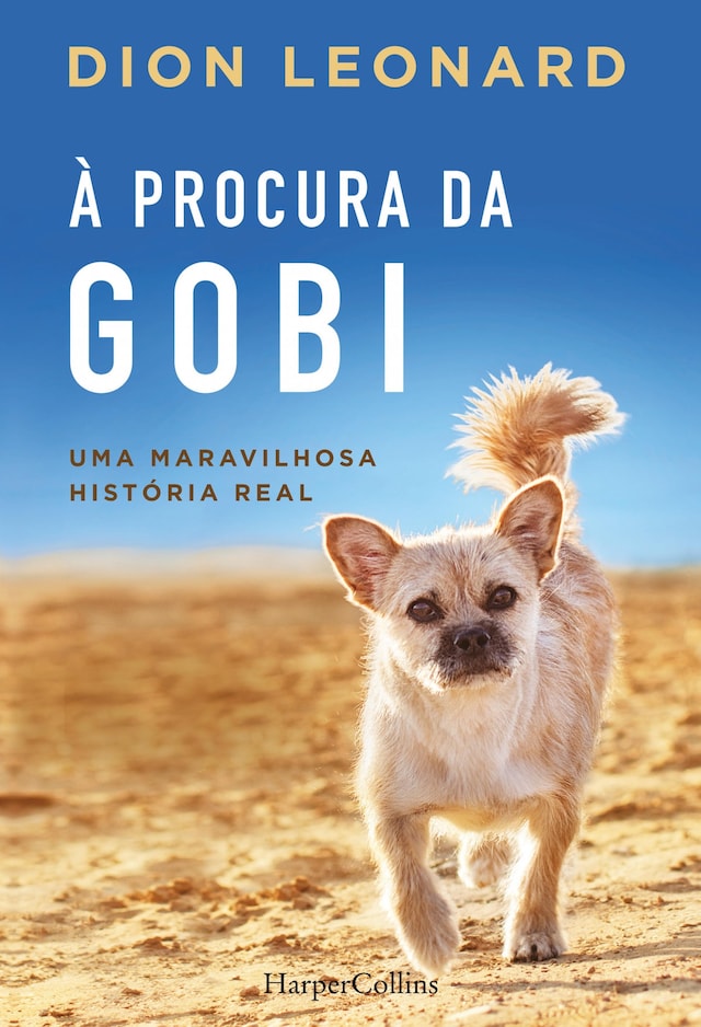 Okładka książki dla À procura da gobi