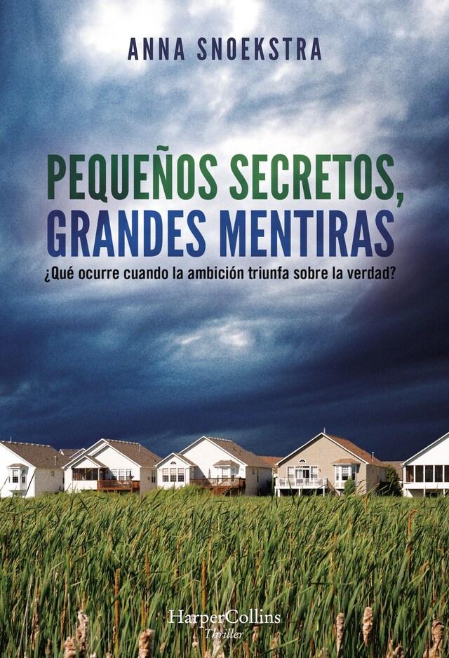 Book cover for Pequeños secretos, grandes mentiras