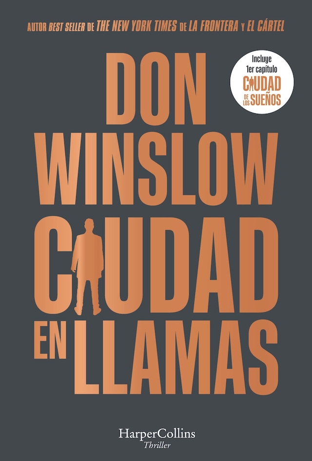 Book cover for Ciudad en llamas