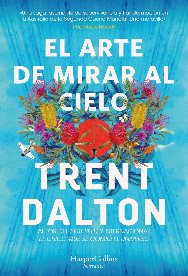 Portada de libro para El arte de mirar al cielo