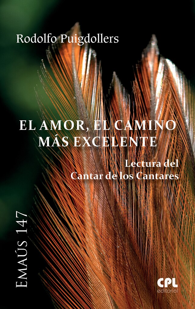 Portada de libro para El Amor, el camino más excelente