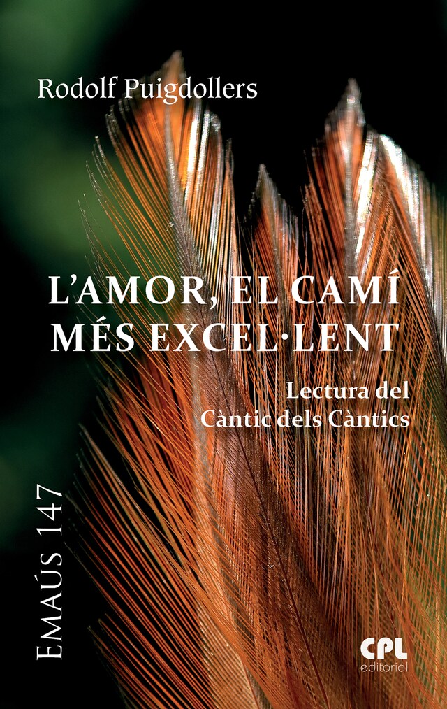 Couverture de livre pour L'Amor, el camí més excel.lent