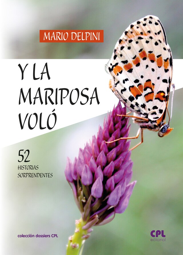 Bokomslag för Y la mariposa voló