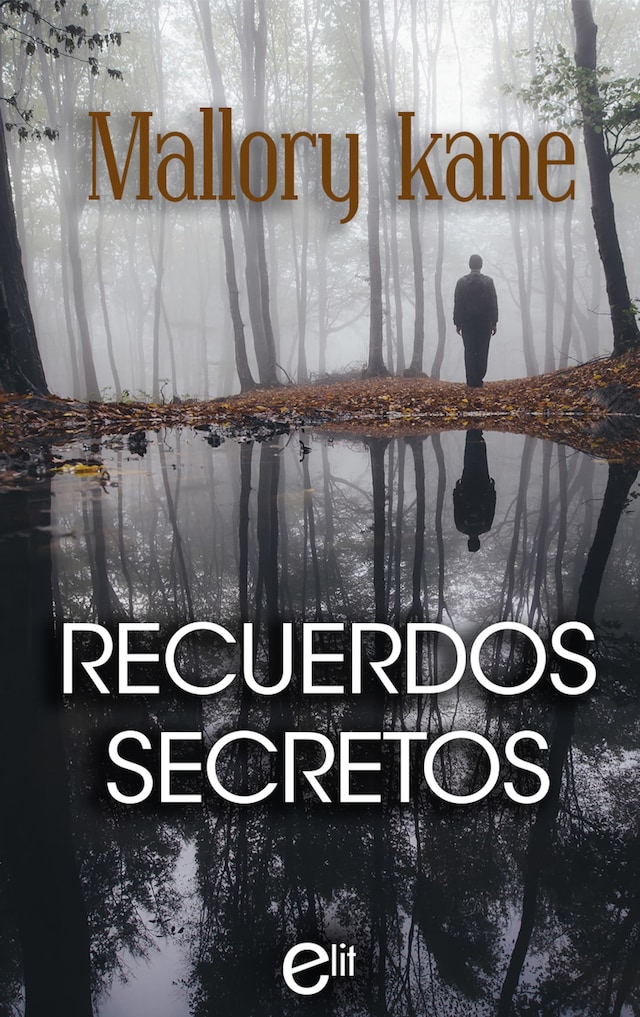 Couverture de livre pour Recuerdos secretos