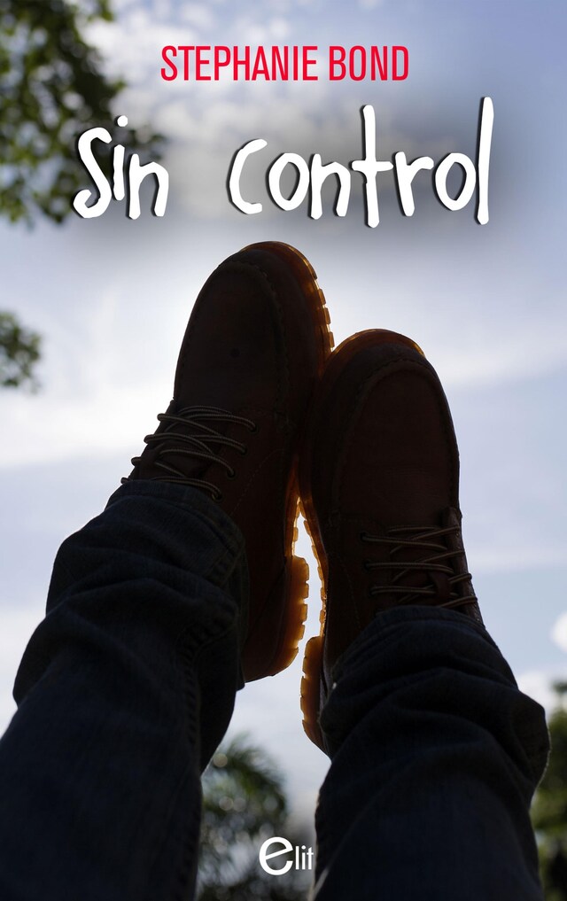 Book cover for Sin control