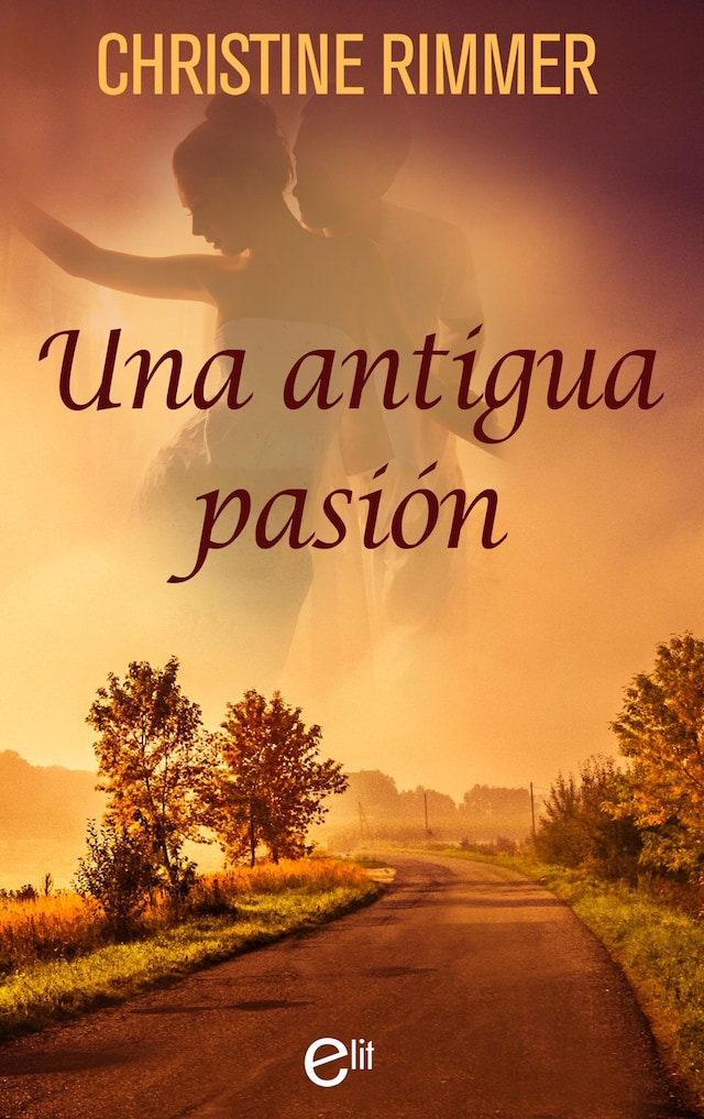 Book cover for Una antigua pasión