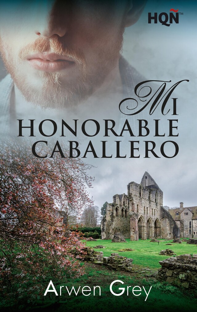 Book cover for Mi honorable caballero