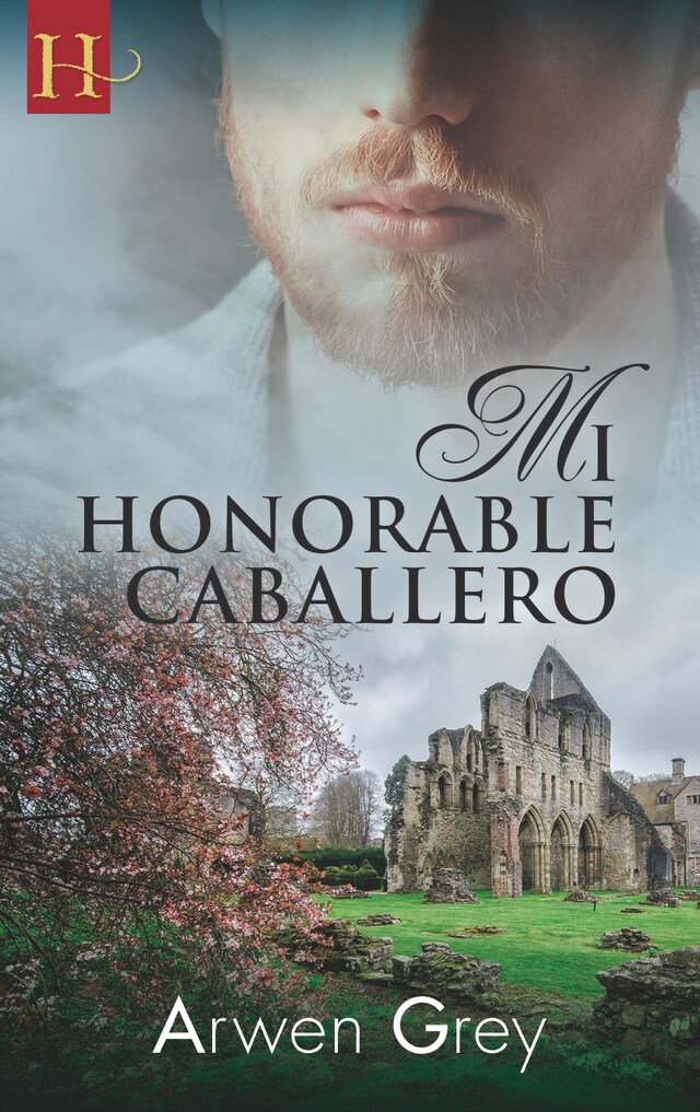 Book cover for Mi honorable caballero