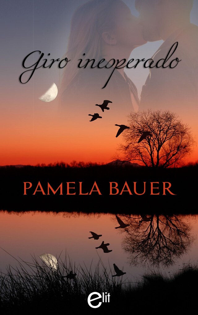 Buchcover für Giro inesperado