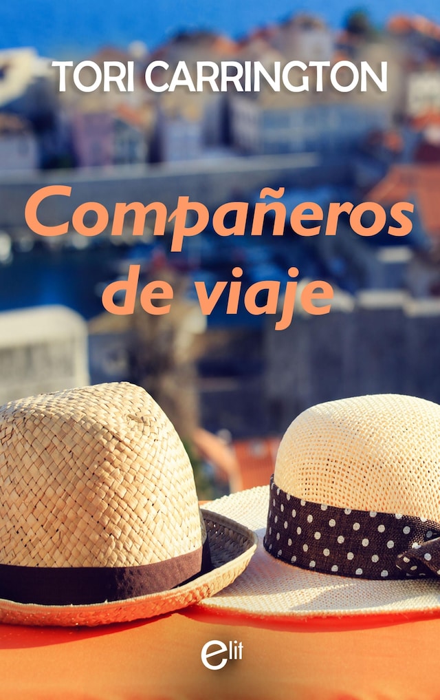 Book cover for Compañeros de viaje
