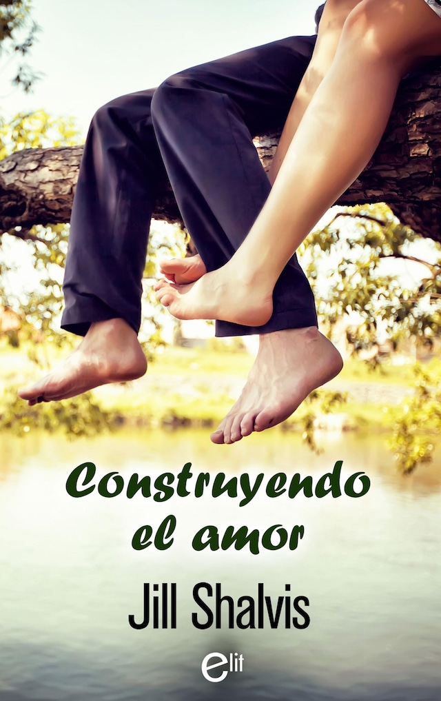 Book cover for Construyendo el amor