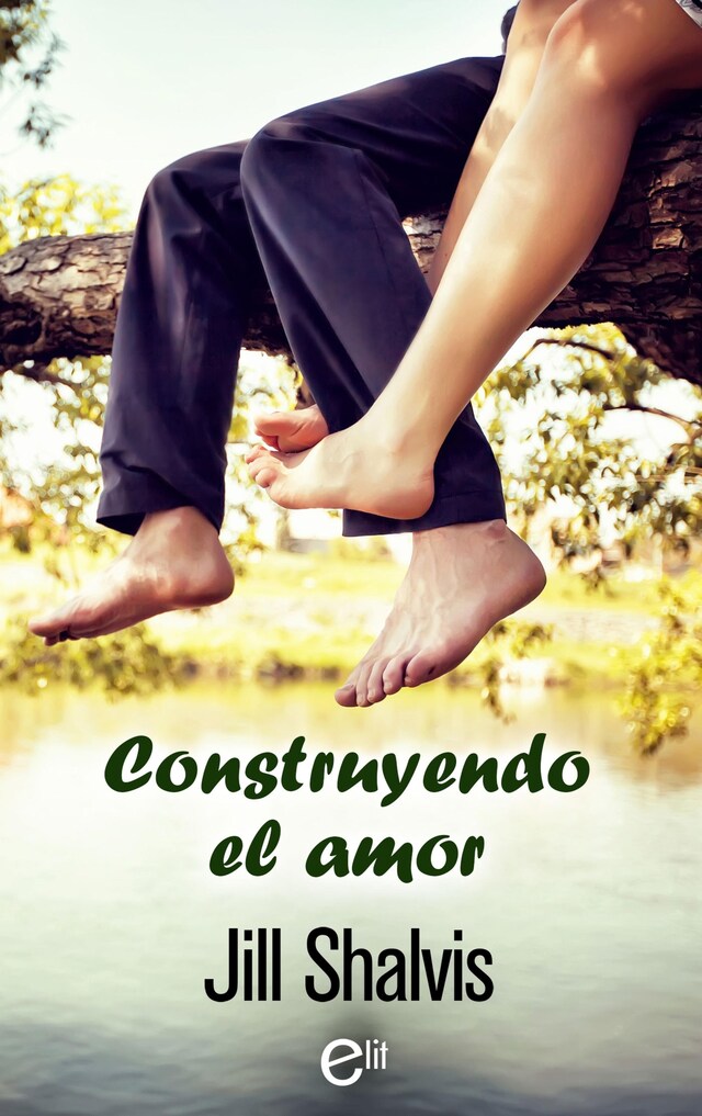 Couverture de livre pour Construyendo el amor