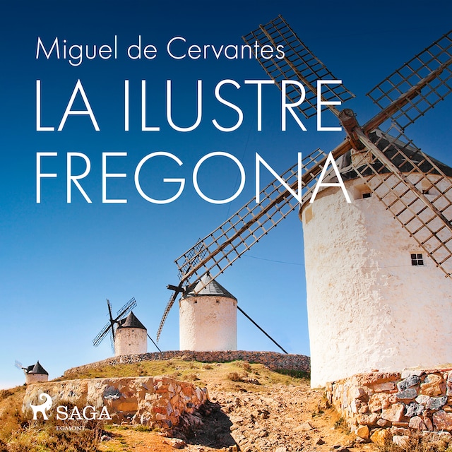 Book cover for La ilustre fregona